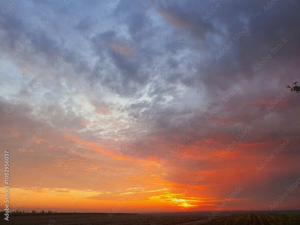 Fototapeta premium sunset in the sky