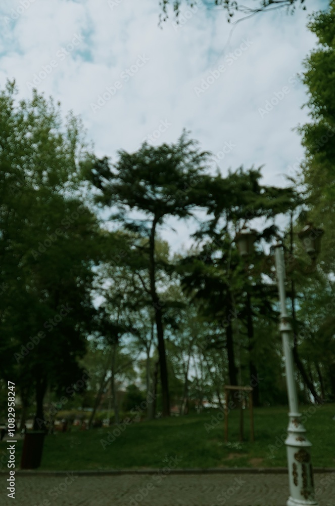 trees in the park trees in the park