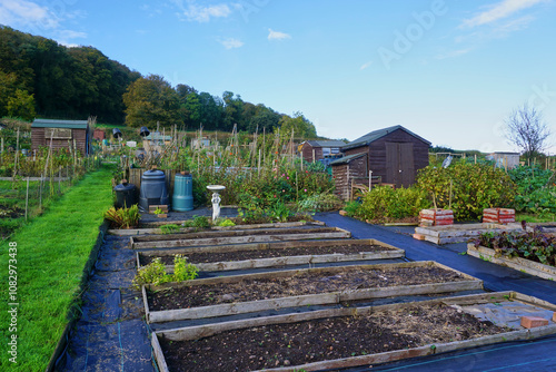 Carta da parati allotment garden featuring vegetable beds, wooden sheds, and lush greenery, set against a backdrop of trees during autumn