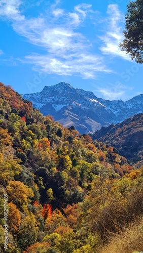 autumn landscape in the mountains