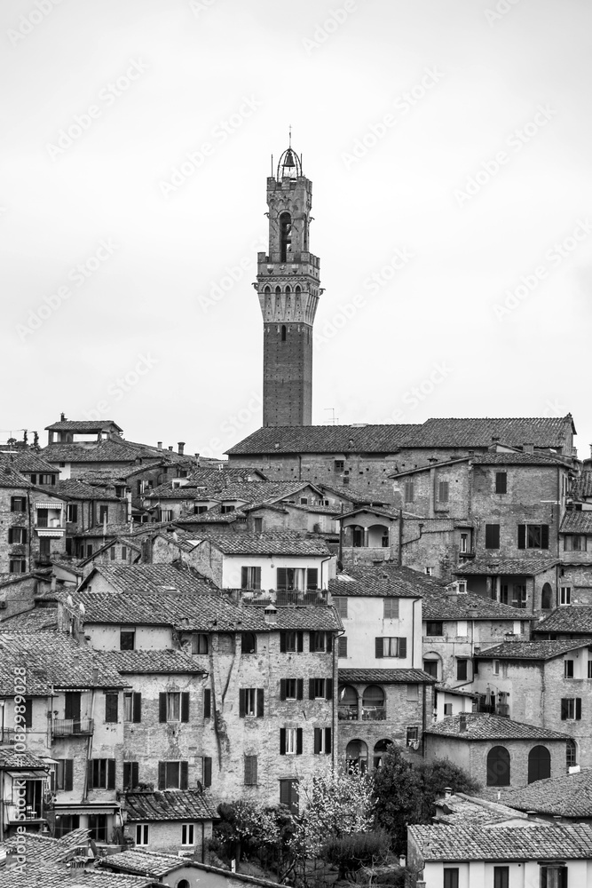 Obraz premium The Palazzo Pubblico, town hall is a palace in Siena, Italy