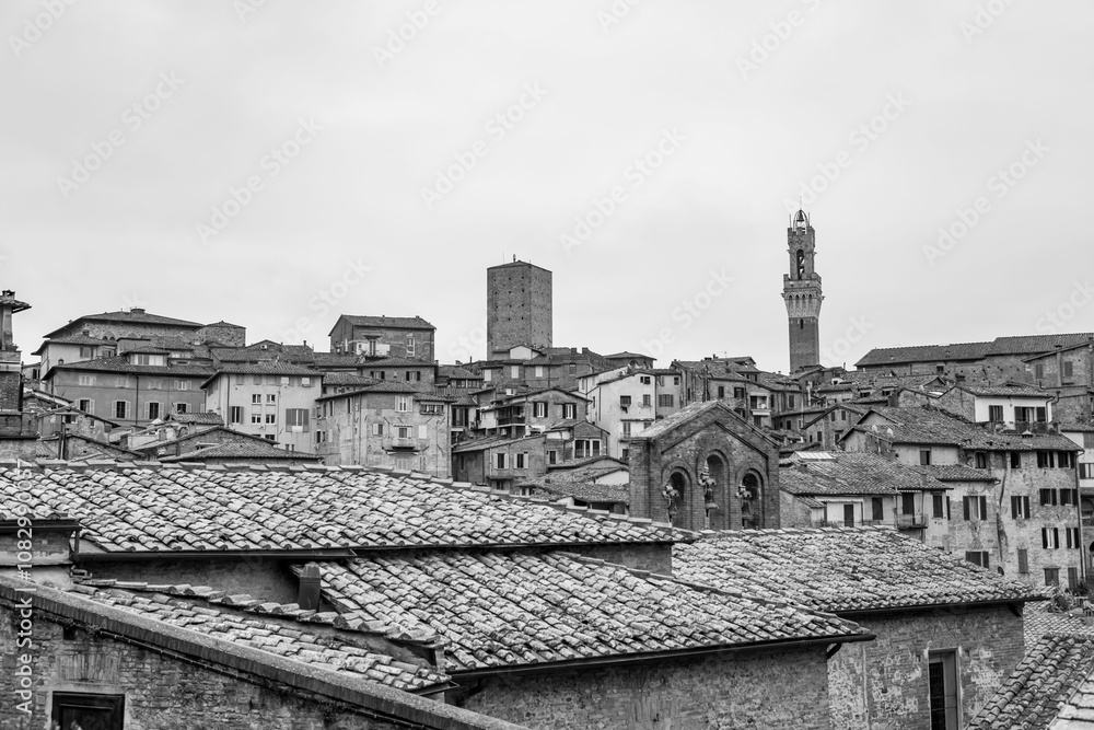 Naklejka premium Generic architecture and cityscape view in Siena, Tuscany, Italy