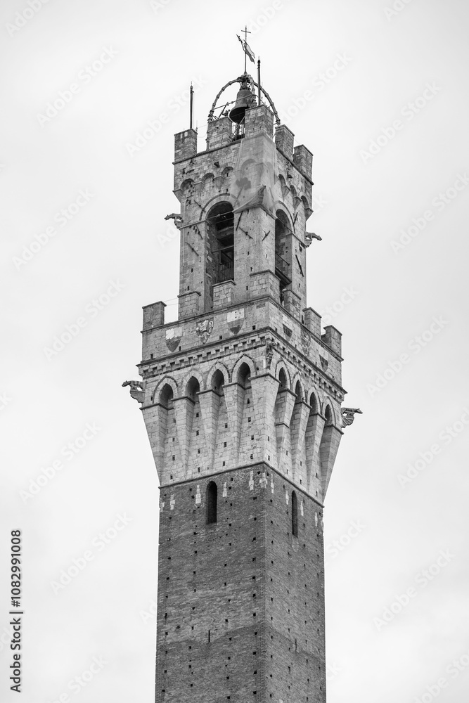 Fototapeta premium The Palazzo Pubblico, town hall is a palace in Siena, Italy