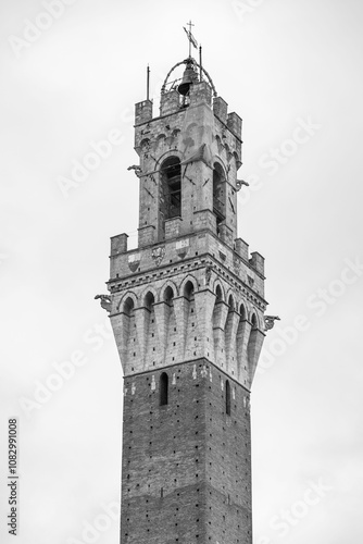 The Palazzo Pubblico, town ...