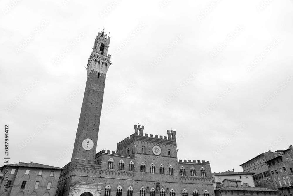 Fototapeta premium The Palazzo Pubblico, town hall is a palace in Siena, Italy