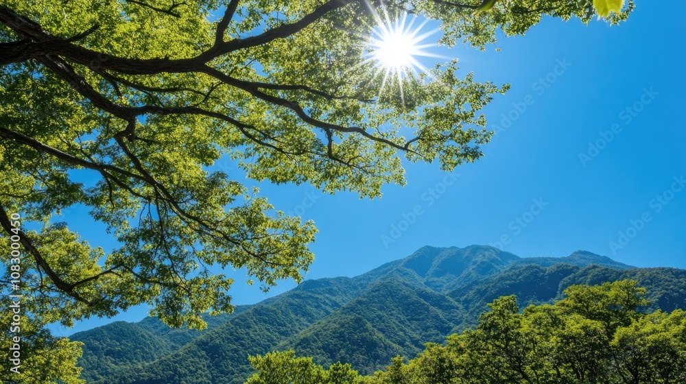 Obraz premium Bright Sunlight Shining Through Green Leaves above Lush Mountain Landscape on a Clear Blue Sky, Capturing the Beauty of Nature in Summer Season