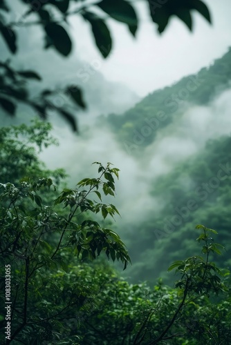 Realistic foggy forest with close-up of green leaves and dense mist photo