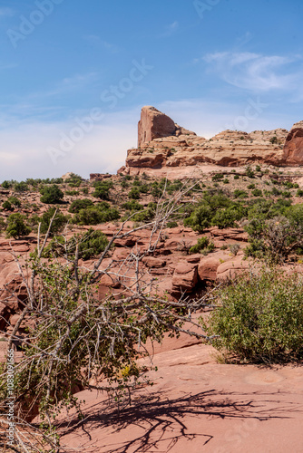 Canyonlands National Park landscapw photo