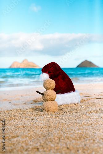 Принти на полотні Christmas Sandman in Hawaii