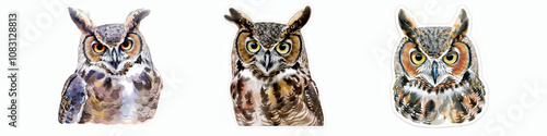 Great horned owl head watercolor illustration set collection photo