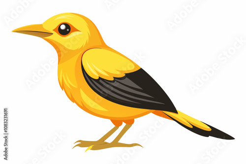 cute golden oriole juvenile isolated on a white background vector illustration
