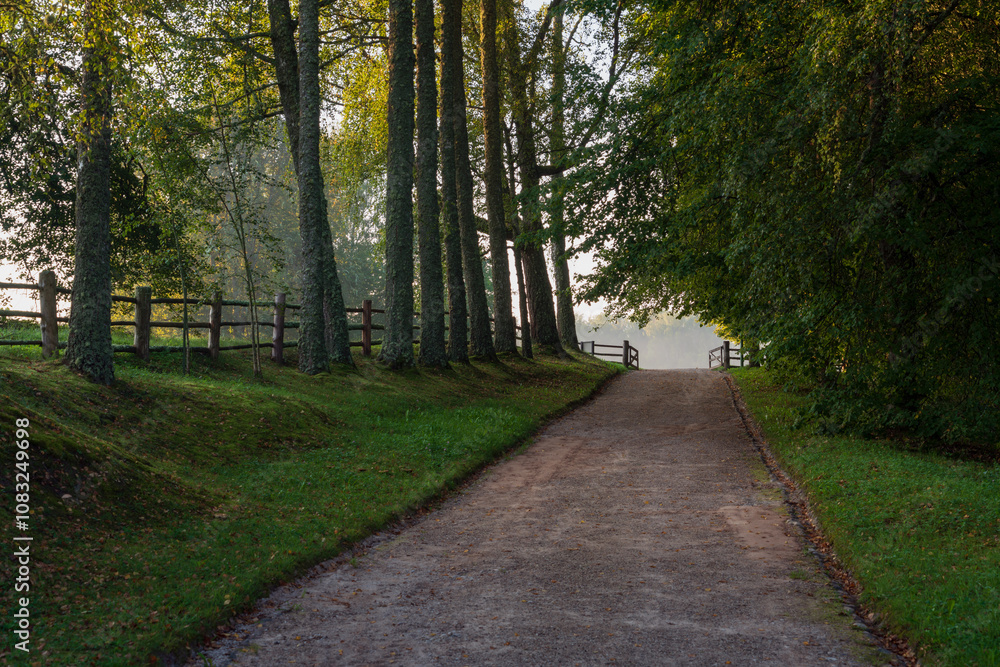 Obraz premium The country road to the Mikhailovskoye estate along the Festive glade on the territory of the Pushkin Museum-Reserve on a sunny summer day, Pushkinskiye Gory, Pskov region, Russia