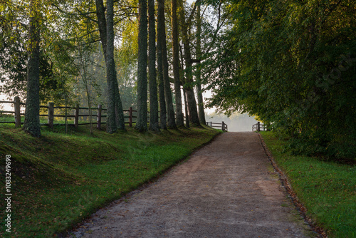 The country road to the Mikhailovskoye estate along the Festive glade on the territory of the Pushkin Museum-Reserve on a sunny summer day, Pushkinskiye Gory, Pskov region, Russia photo