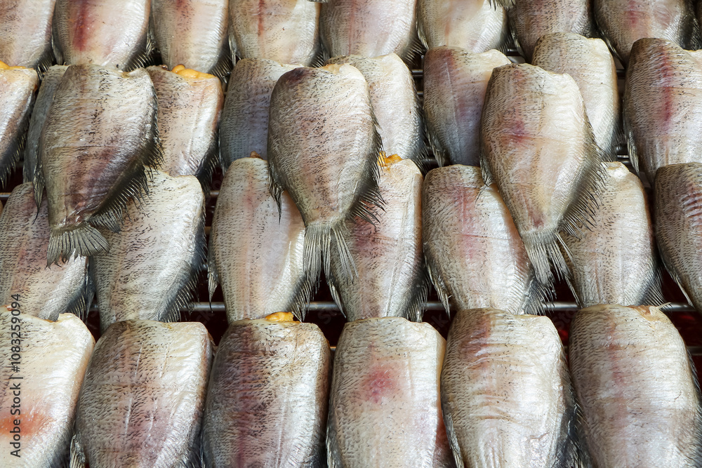Obraz premium dried gourami fish premium size arranged beautifully