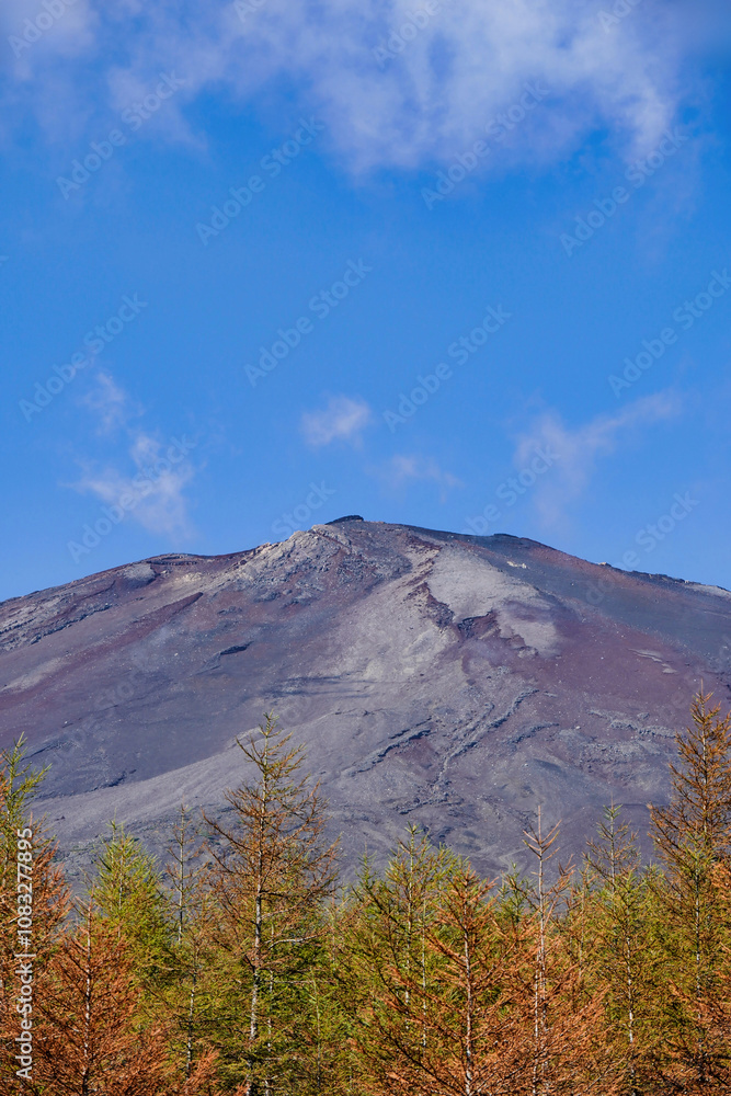 青空と紅葉が彩る富士山の秋景