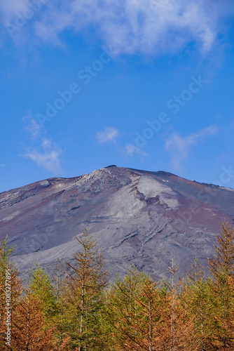 Obraz na płótnie 青空と紅葉が彩る富士山の秋景 w salonie