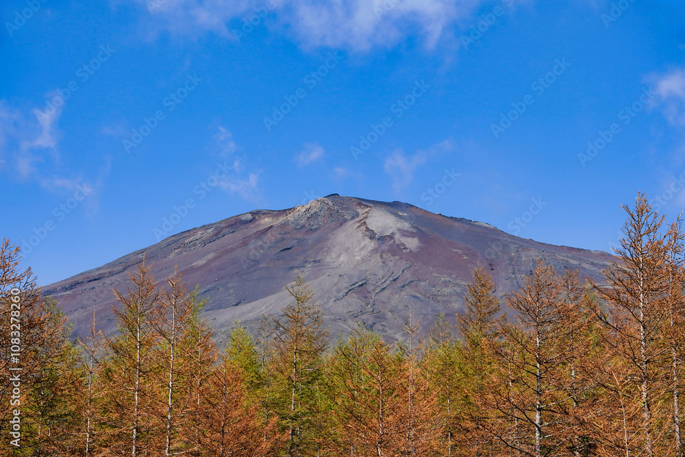 青空と紅葉が彩る富士山の秋景