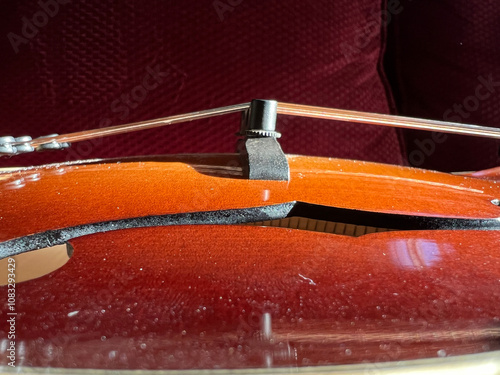 Mandolin bridge with strings on an orange sunburst mandolin photo