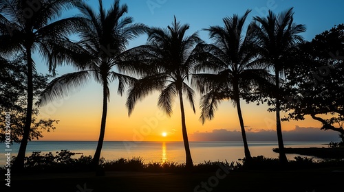 南国の夕方と夕日