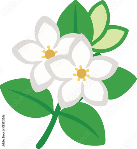 White Jasmine Flowers with Green Leaves Illustration, Minimalist illustration of white jasmine flowers with green leaves, featuring a soft and elegant design, perfect for floral themes.  
