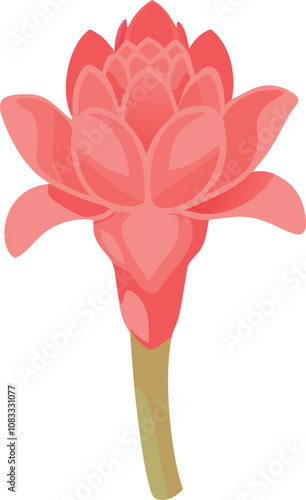 Pink torch ginger flower illustration, Vector illustration of a pink torch ginger flower with layered petals and a tall green stem, showcasing a vibrant and tropical design.
