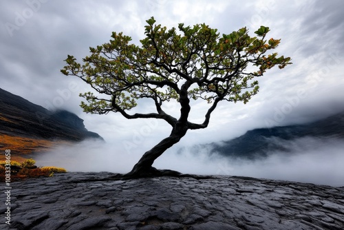 Gothic-style tree with twisted branches and dark, dense foliage, standing in a misty, eerie landscape photo