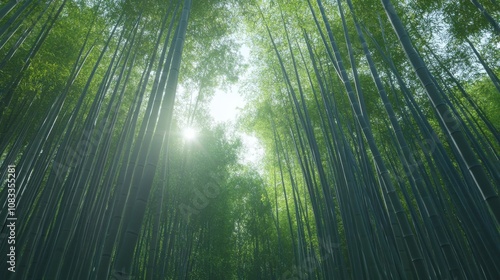 The mystical beauty of the bamboo forests in Sagano, Kyoto, Japan