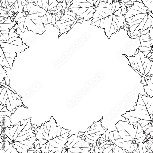 Frame of grape leaves, flower arrangement with leaves as a frame for design. Branch of grape vine with leaves.