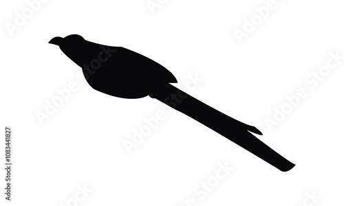 Green Billed Malkoha Silhouette Design  And Vector Illustration. 