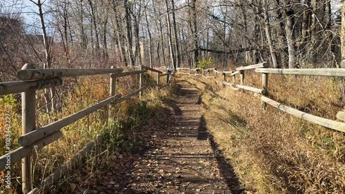 path in the park