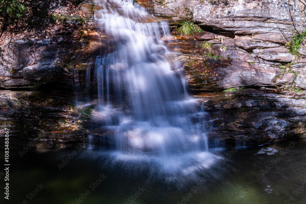 Obraz premium waterfall in the forest