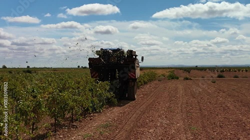 MAQUINA VENDIMIADORA