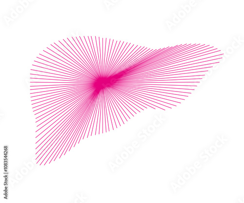 Abstract human liver. Liver vector. Liver design.