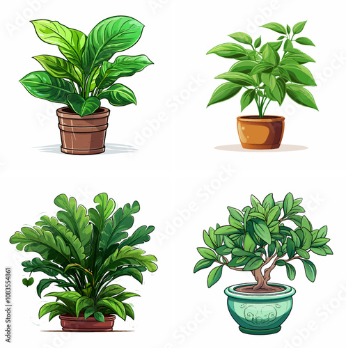 plant nature growth green gardening foliage flower indoor outdoor botanical leaves tree shru
