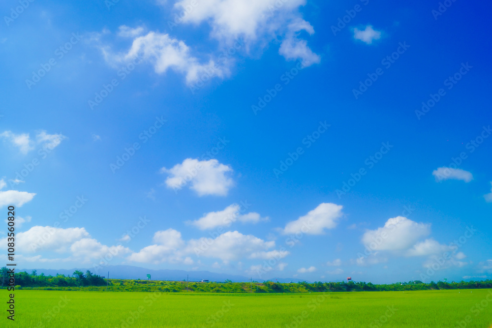 Fototapeta premium 晴天の下の青い空と田園