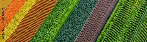 Drone aerial view of multi-crop fields with companion planting, diverse colors showing sustainable farming practices in action photo