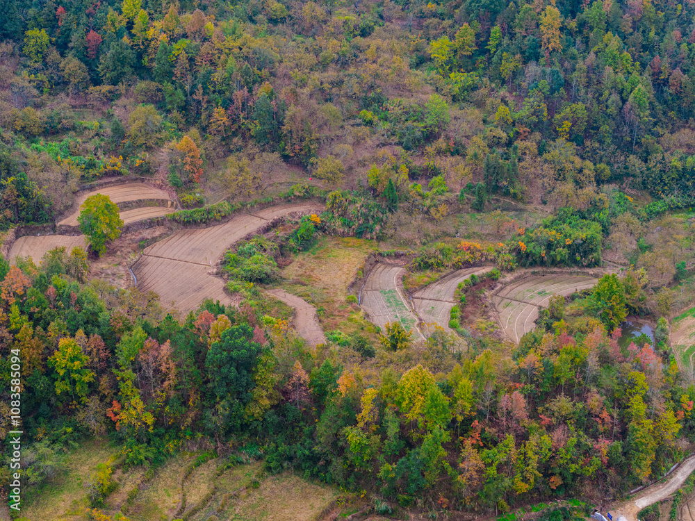 Obraz premium Late autumn scenery of Jiuzi River Town, in Luotian, China