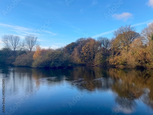 autumn in the park