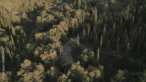 Motorbike in the pine forest on the mountain, aerial footage on sunset  photo