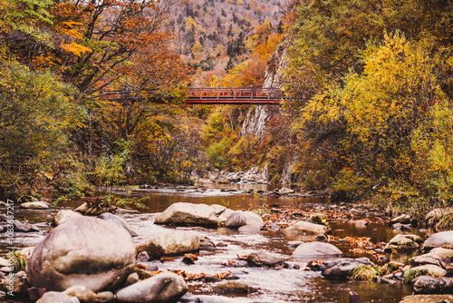 Futami Suspension Bridge, Jozankei city, Toyohira River. Futami Suspension Bridge during the leave changing color in Hokkaido is one of most popular tourist attraction spot in Hokkaido.