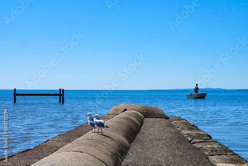 Walking along the seaside at Wynnum jetty and Manly, a beautiful sunny clear and blue sky day  photo