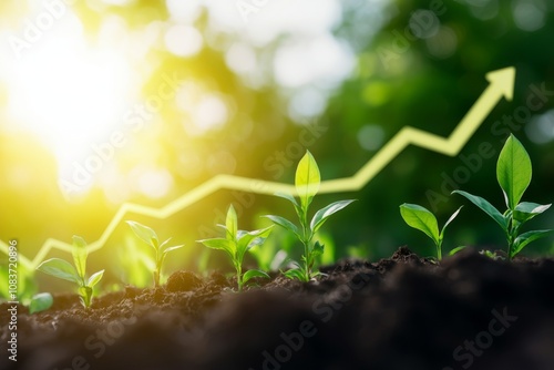 Green seedlings growing in soil with a rising graph, symbolizing growth and success. photo