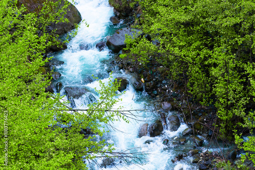 Scenery of mountain stream surrounded by fresh greenery that shines through the sunlight filtering through the foliage. mountain stream in the summer.