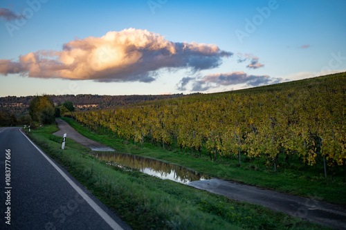 Panoramic view of terraced vineyards around Nittel, Rhineland-Palatinate, Germany and views across Moselle River on vineyard hills of Luxembourg near Grevenmacher photo