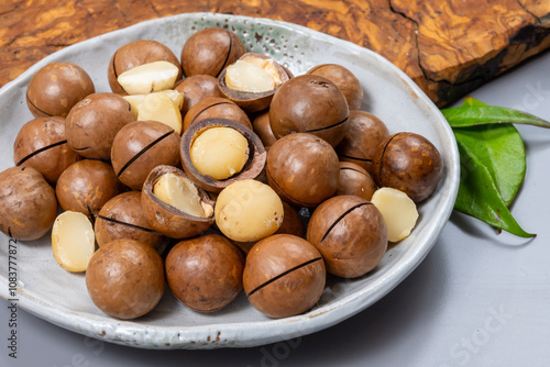 Australian Queensland macadamia nuts, or bush, maroochi, bauple nut, with sawn nutshell, fresh harvest photo