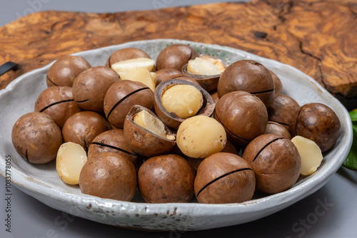 Australian Queensland macadamia nuts, or bush, maroochi, bauple nut, with sawn nutshell, fresh harvest photo