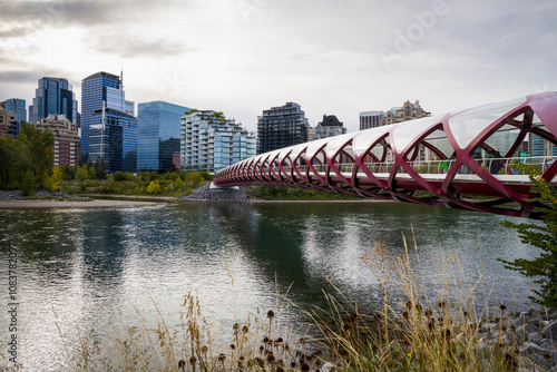 Travel destination Calgary. Peace Bridge across Bow River with Modern City Buildings in Background