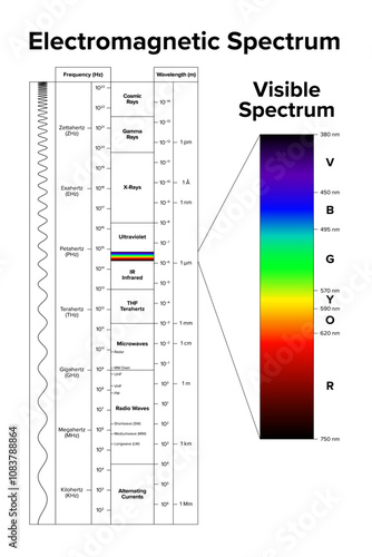 Electromagnetic spectrum and its visible spectrum highlighted separately. Diagram of the full range of electromagnetic radiation, organized by frequency in Hertz and wavelength in meters. Vector.