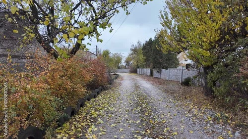 country road. grey cinder road. flower beds made of tires. tires on the side of the road. provincial village.