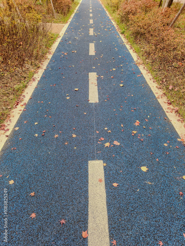 a track in a park